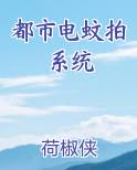 都市电蚊拍系统