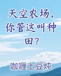 天空农场，你管这叫种田？全本免费阅读