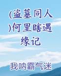 (盗墓同人)何里瞎遇缘记小说全文免费阅读