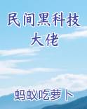 民间黑科技大佬
