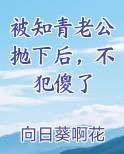 知青抛弃农村妻子小说